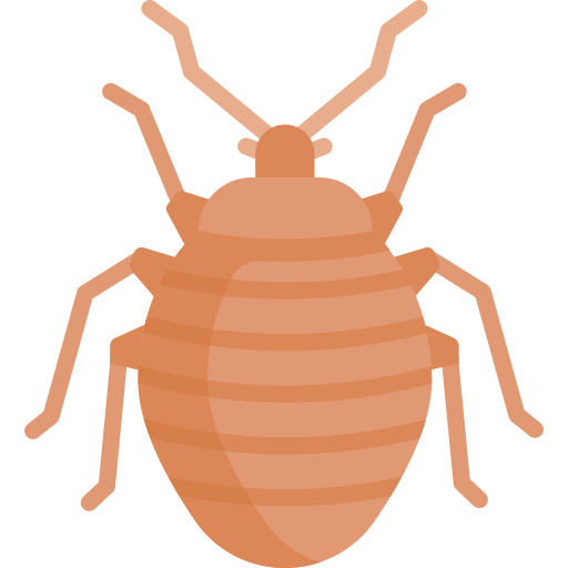 Bedbugs Control
