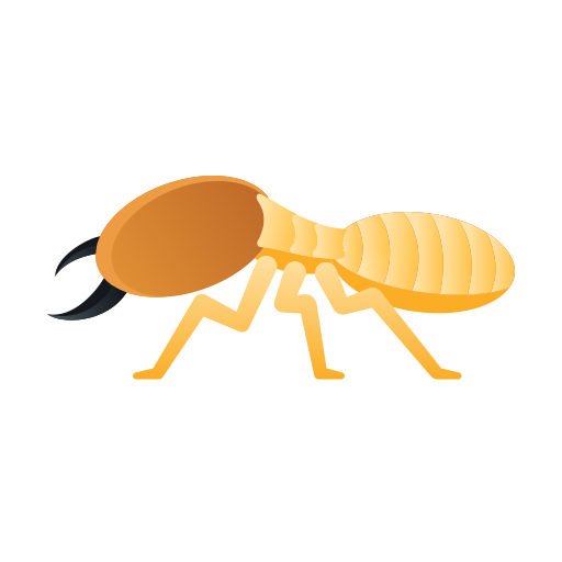 Termite Control