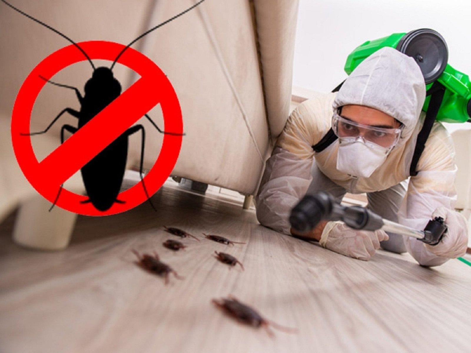 Cockroach Control