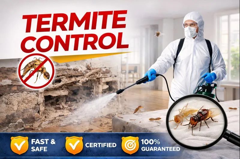 Termite Control